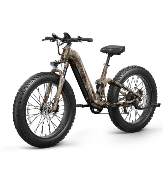 Boxer ST Ebike